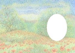 Field of Poppies Insert