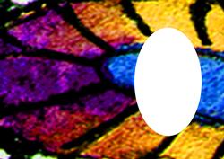 Peacock Butterfly or Fairy Wing Insert
