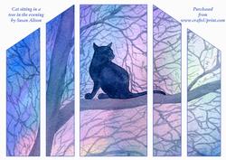 Cat Sitting in a Tree in the Evening Theatre Fold