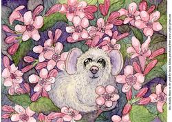 Miss Maddy Mouse in the Pink