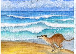 Morning Run on the Beach
