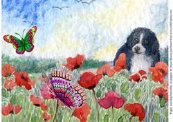 Puppy Watching Butterflies on Poppies