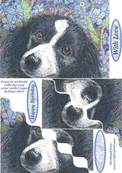 Forget Me Not Border Collie Dog Wavy Corner Stacker Topper