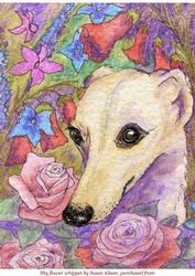 Shy Flower Whippet