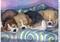 Beagle Puppies Asleep on the Sofa