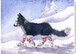 They Were His Favorite Leg Warmers