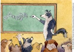 For the World's Best Teacher
