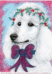 She Was Dreaming of a White Poodle
