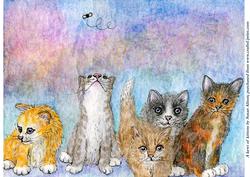 A Kewt of Kittens