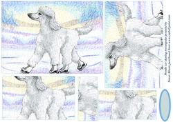 Poodle Ice Skating Rectangular Pyramid