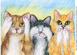Three Wise Moggies Hear No Evil, See No Evil, Speak No Evil