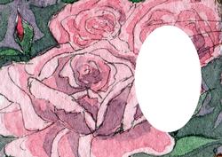 Pink Roses Insert