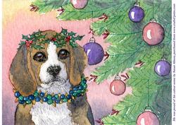 Beagle Proud of His Colour Sense