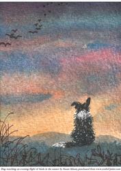 Dog Watching an Evening Flight of Birds in the Sunset