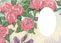 Pink Roses Against the Sky Insert