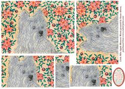 Little Miss Apple Blossom Westie