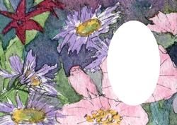 Lilac and Pink Flowers