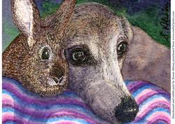 Greyhound and Rabbit Pals