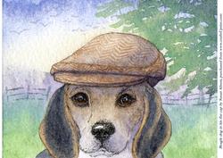Beagle Dog in His Flat Cap