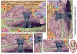 This Greyhound Dog Was Modest About His Achievements