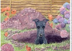 This Greyhound Dog Was Modest About His Achievements