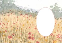 Poppy Field Insert