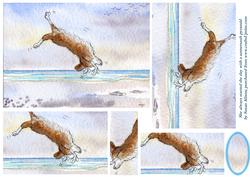 She Always Started the Day with a Somersault