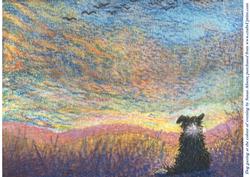 Dog Gazing at the Colour of Evening