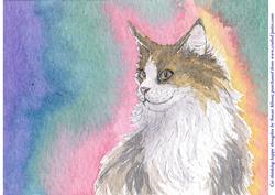Cat Thinking Happy Thoughts