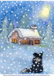 Home for Christmas