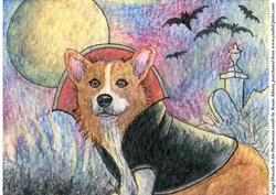 Corgi Dracula in His Halloween Outfit