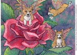 Welsh Corgi Rose Fairies