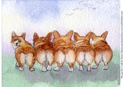 Five Go for a Walk