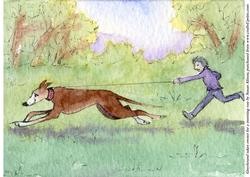 Greyhound Dog Takes His Hoomun for an Early Morning Run