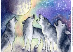 Wolves at Choir Practice