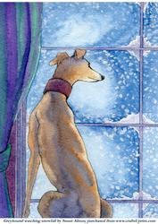 Greyhound Watching Snowfall