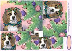 Beagle Proud of His Colour Sense with Christmas Decorations
