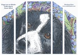 Forget Me Not Border Collie Dog Theatre Fold
