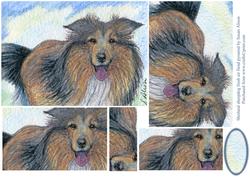 Shetland Sheepdog Fresh Air Fiend Rectangle Pyramid