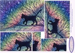 Starry, Starry Night - Cat Out and About - Pyramid
