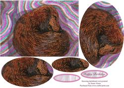 Snoozing Dachshund Oval Pyramid
