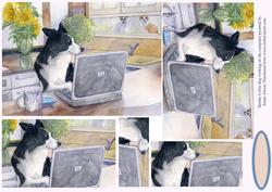 Border Collie Dog Working on Computer Pyramid