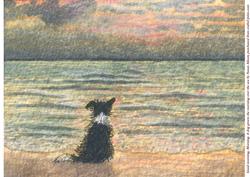 Good Morning, Morning. a Dog Greets the Morning Over the Sea