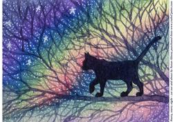 Starry, Starry Night - Cat Out and About