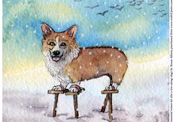 Essential Winter Kit (for a Low-slung Dog)