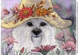 Westie's Special Garden Hat