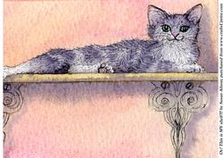 Oy! This is My Shelf!!!