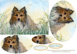 Sheltie Listening to the Breeze - Oval Pyramid