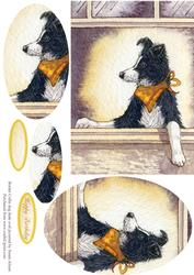 Border Collie Dog Dude Oval Pyramid