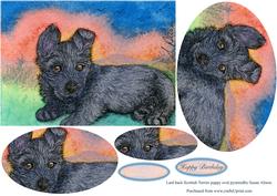 Laid Back Scottish Terrier Puppy Oval Pyramid